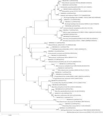 Isolation and characterization of algicidal bacteria from freshwater aquatic environments in China